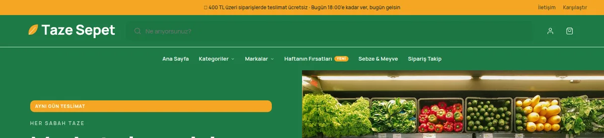 İki satır: arama + menü — e-ticaret sitesi başlık düzenleri örneği